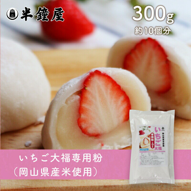 いちご大福専用粉（岡山県産米粉使用）300g（フルーツ大福・求肥・ミックス粉）