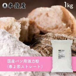 北海道産強力粉 春よ恋（はるよこい）ストレート 1kg（国産・食パン・製パン）