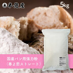 北海道産強力粉 春よ恋ストレート 5kg（国産・食パン・製パン）