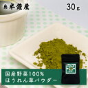 ほうれん草パウダー(ホウレンソウの粉末)(国産)30g(製菓・製パン・料理・離乳食)