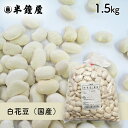 白花豆(国産)1.5kg(白いんげん豆・甘煮・煮込み料理)