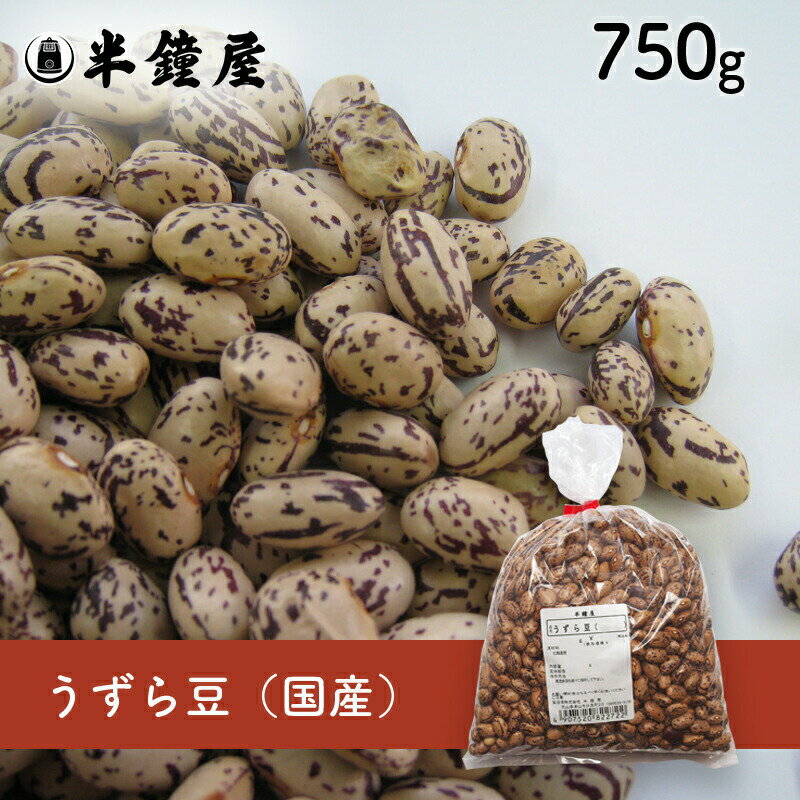 うずら豆（北海道産）750g（いんげ