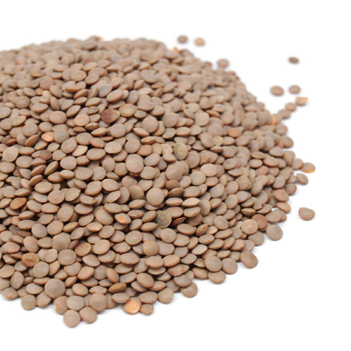 レンズ豆（輸入）1.5kg（カレー・ス