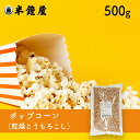 ポップコーン 500g（バター醤油・キ
