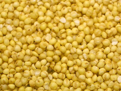 もちきび（ベトナム産）1kg（雑穀ごはん・サラダ）