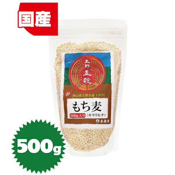 玉野五穀 もち麦 500g（岡山県玉野市産・国産）（雑穀・穀物・大麦）