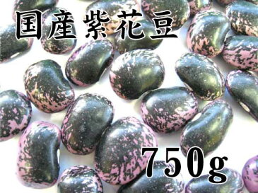 北海道産　紫花豆　750g