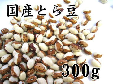 北海道産　とら豆　300g