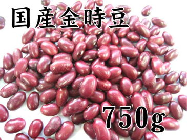 北海道産 金時豆 750g