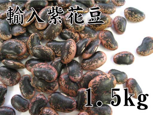 紫花豆(輸入)1.5kg(甘煮、甘納豆に)の紹介画像2