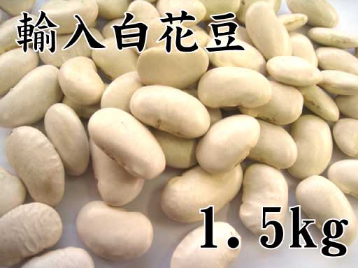 白花豆（輸入）1.5kg（白いんげん豆・甘煮・煮込み料理） 2