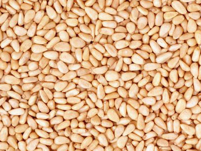 ���μ¡�����500g�ʥ��ॲ���󡦻����򡦥���������ꥢ�롦����Ρ��顦�����Υ١�����