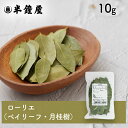 ローリエ(月桂樹)10g(煮込み料理・臭み消し・マリネ・ピクルス)