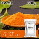 ウコン粉（うこん、ターメリック）500g（カレー・ター