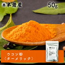 ウコン粉（うこん、ターメリック）50g（カレー・ター