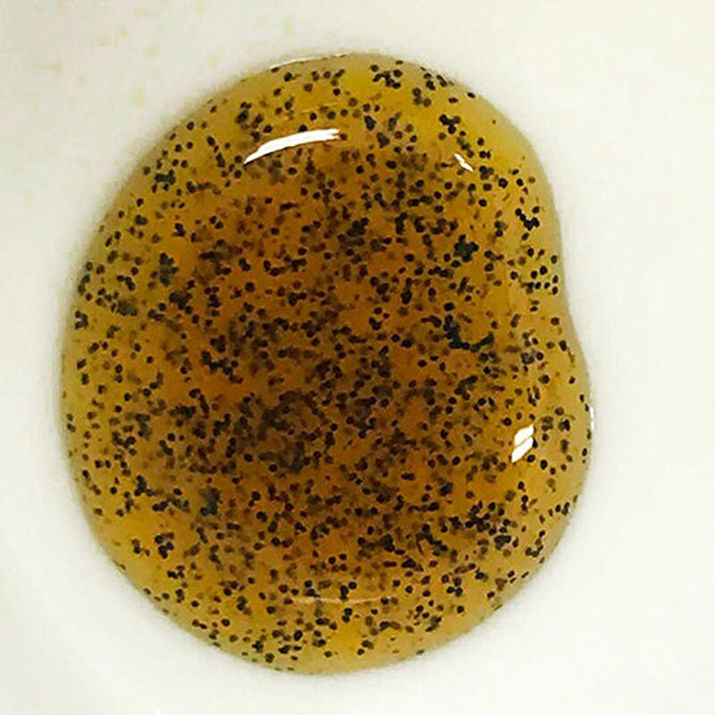 �ƥ��顼������å� �Х˥�ӡ��� �ڡ����� 50g�ʥ��������ɡ����塼���꡼�ࡦ�ࡼ�����ץ���