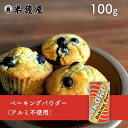 AIKOKU アイコク ベーキングパウダー 100g(ミョウバン不使用・アルミフリー)(膨張剤・ふくらし粉)