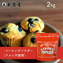 AIKOKU アイコク ベーキングパウダー 2kg(ミョウバン不使用・アルミフリー)(膨張剤・ふくらし粉)