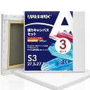 AUREUO 張りキャンバス セット S3 (27.3cmX27.3cm) 中目 綿化繊混紡 3枚 初心者 絵画用具 芸術絵創作 現代油絵 美術装飾 水彩画・油...