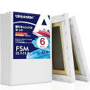 AUREUO 張りキャンバス セット FSM (22.7cmX15.8cm) 中目 綿化繊混紡 6枚 初心者 絵画用具 芸術絵創作 現代油絵 美術装飾 水彩画・油絵画・アクリル兼用