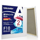 AUREUO 張りキャンバス セット F10 (53.0cmx45.5cm) 中目 綿化繊混紡 2枚 初心者 絵画用具 芸術絵創作 現代油絵 美術装飾 水彩画・...