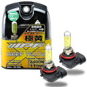 IPF ヘッドライト フォグランプ ハロゲン 車用 HB3 HB4 2400K イエロー 黄色 12V用 2本入 車検対応 霧・雪・悪天候に強い XY93