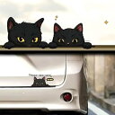 TATACLEA 車のステッカー、かわいい猫の車のステッカー、漫画の車のステッカー、スクラッチ ステッカー 二匹の子猫