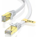 BUSOHE LANケーブル 6M Cat-8 フラットケーブル 40Gbps 2000MHz RJ45 コネクタ付き ギガビット 高速 イーサネットケーブル 金メッキ 爪折れ防止 カテゴリー8 家庭用 業務用 アクセスポイント等に適用います ランケ