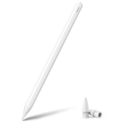 Stouchi スタイラスペン iPad ペンシル 磁気吸着充電式タッチペン フル充電後自動充電停止 傾き感知 パームリジェクション マット仕上げ 収納ケース 交換ペン先 充電ゲーブル 説明書付き iPad Pro 12.9インチ、iPad Pro