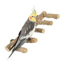 cobalt planet 鳥の5連とまり木 天然木 鳥スタンド 枝 インコ 鳥おもちゃ アスレチック 階段 噛むおもちゃ 鳥用品 鳥休み場所 インコ オウム ...
