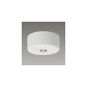 東芝(TOSHIBA) LED 非常用照明器具 直付形 専用形 一般形 9形(低天井用~3m) 常時消灯/非常時LED点灯 LEDEM09821M