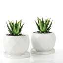 Umlaca 多肉植物 鉢 陶器 植木鉢 小型 底穴あり ミニ植木鉢 サボテン鉢 ミニ 植木鉢 おしゃれ 陶器製トレイ付き 鉢底ネット付き 2点セット 父の日プレゼント 植物なし(ホワイト)