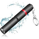 Tooniu ミニ懐中電灯 小型 高輝度 テールスイッチ式 キーホルダー付き 単4電池1本給電 IP54防水 ledライト ハンディライト コンパクト 軽量 高輝度LEDチップ搭載 150ルーメン 3つモード調光 停電対策 緊急用 紛失予防 単4乾電