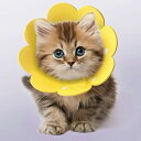 nacyvcos 猫 犬 エリザベスカラー ボタン式 回復首輪 軽量 術後 傷口保護 介護 避妊 術後ウェア 傷舐め防止 皮膚病 かわいい 調節可能 柔らかい 子猫 中型犬 小型犬 動物ケア