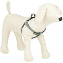 ペティオ (Petio) 犬雅 唐草ハーネス グリーン SS サイズ