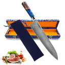 Utaki 牛刀 肉切り包丁 ダマスカス V金10号 刃渡り240mm 万能包丁 よく切れる 料理 ステンレス 美しい高級67層ダマスカス包丁 (sdd083Y)