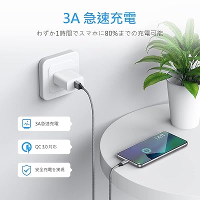 カシムラ USB充電&同期ケーブル 2m C-C 100W WH AJ-647(代引不可)