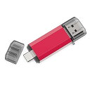 RAOYI TypeC USBメモリ 32GB USB3.0 タイプCフラッシュドライブ 2in1 高速デュアルフラッシュディスク(TypeC+USB3.0) OTG キャップ式 (赤)