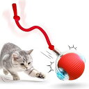 猫 おもちゃ 自動猫ボールおもちゃ 動く猫ボールおもちゃ 自動 360 度回転ローリング ボール USB 充電付き Type-C充電コネクタ 猫用長い尾付き電動自動おもちゃ 猫の運動不足解消 本能を刺激します (赤)