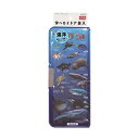 クツワ(Kutsuwa) ペンケース筆箱 マグネット筆入 学べる2ドア筆入 海洋生物