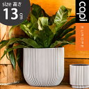 植木鉢 インテリア Capi 軽量 樹脂製 鉢 4号 室内用 グランピング レストラン 植栽 ガーデン プレゼント ギフト おしゃれ カピ プランターボールグル...