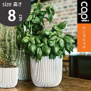 植木鉢 小型植木鉢 Capi 軽量 樹脂製 鉢 3号 室内用 グランピング レストラン 植栽 ガーデン プレゼント ギフト おしゃれ カピ プランターボールグル...
