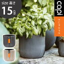 植木鉢 小型植木鉢 Capi 軽量 樹脂製 鉢 室内用 グランピング レストラン 植栽 ガーデン プレゼント ギフト おしゃれ インテリア カピ ブラック アイ...
