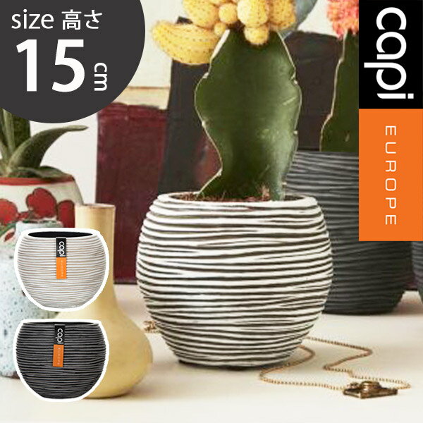 植木鉢 大型植木鉢 Capi 軽量 樹脂製 鉢 5号 室内用 グランピング レストラン プレゼント ギフト 植栽 ガーデン おしゃれ カピ ブラック アイボリー...