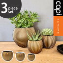 植木鉢 インテリア Capi 軽量 樹脂製 鉢 室内用 グランピング レストラン 植栽 ガーデン プレゼント ギフト おしゃれ カピ ミックスボックス グルーヴ...