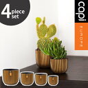 植木鉢 インテリア Capi 軽量 樹脂製 鉢 室内用 グランピング レストラン 植栽 ガーデン プレゼント ギフト おしゃれ カピ レトロ ミックスボックス ...