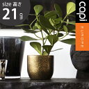 植木鉢 capi カピ 軽量 樹脂製 鉢 7号 室内用 インテリア 小型植木鉢 小物入れ 収納 ギフト プレゼント おしゃれ カピ プランターボールテラッツォ ...