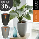 植木鉢 縦長植木鉢 8号 おしゃれ 軽い 軽量 樹脂製 プランター 店舗 プランター ホテル 新築 プレゼント ギフト capi カピ ベースエレガントロウ ス...