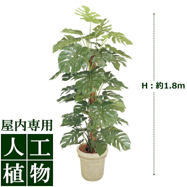 /人工植物/グリーンデコ　モンステラ　1.8m/送料無料/RCP/05P03Sep16/【HLS_DU】