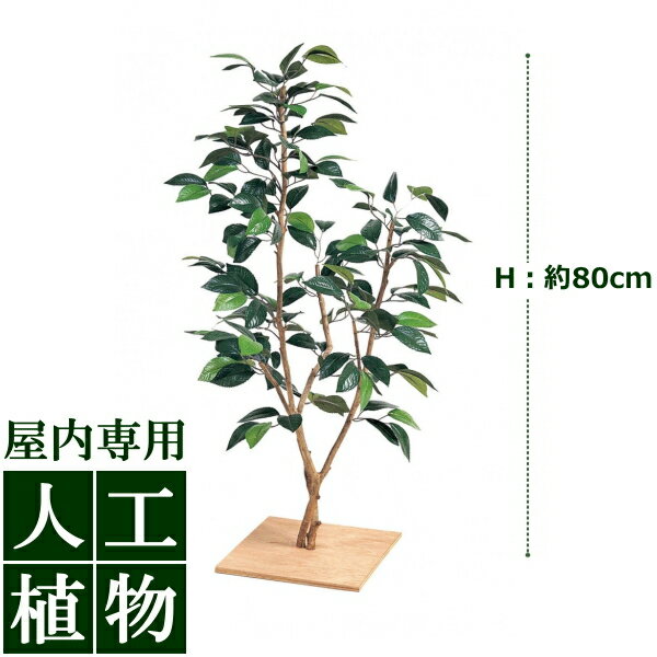 樂天商城 - /人工植物/グリーンデコ　ミニつばき板付　80cm/RCP/05P03Sep16/【HLS_DU】